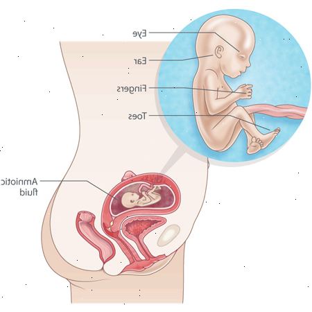 Εβδομάδα εγκυμοσύνης μέχρι την εβδομάδα. Κάπνισμα και εγκυμοσύνη: να κατανοήσουν τους κινδύνους.